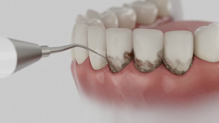 Reliable Dental contractor in Northchase, NC by Dentist Open Now